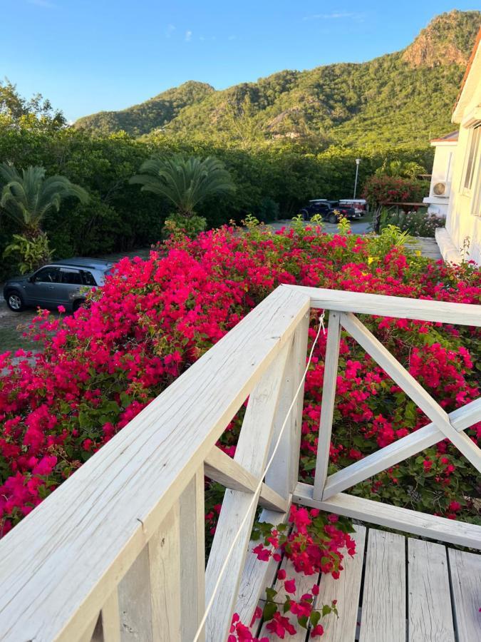 Sunny Villa In The Marina - Excellent Water Views Jolly Harbour Екстер'єр фото